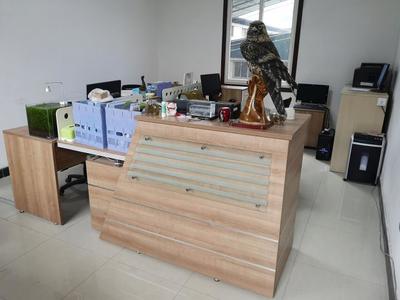 攜手共進，再譜新篇——熱烈祝賀九度與漢武機電簽署網站服務協議，深化針紡織品及原料銷售合作